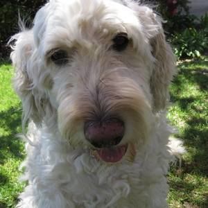 Meet your Posher, Vivian